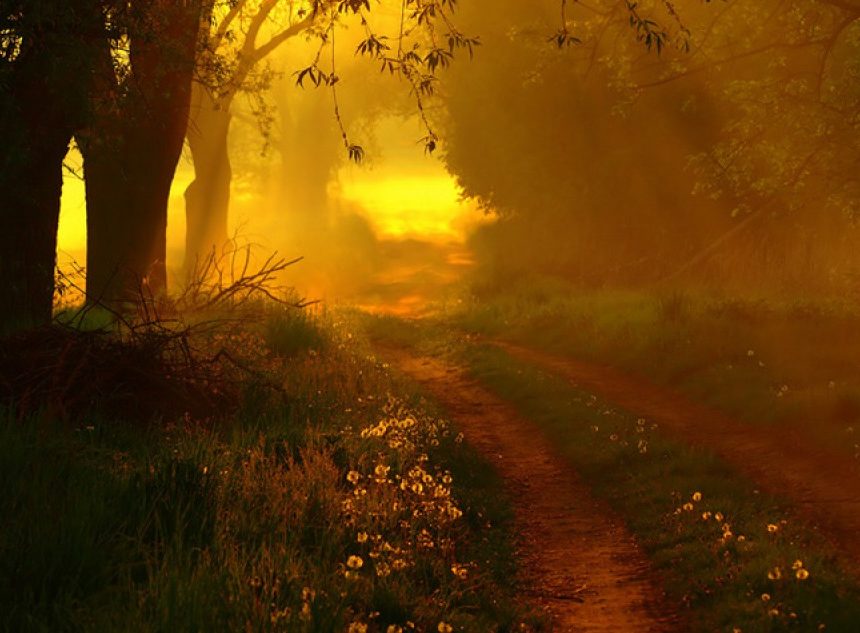 Fate and Free-Will Fate and Free-Will