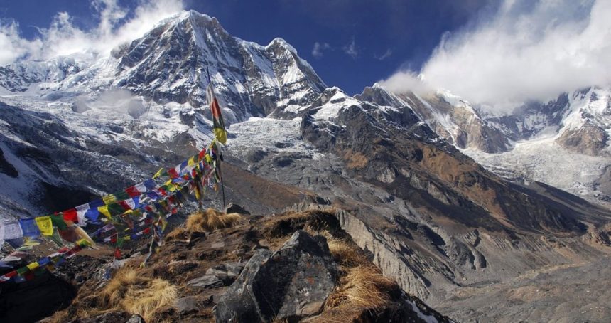 Annapurna – The honoured Shakambari
