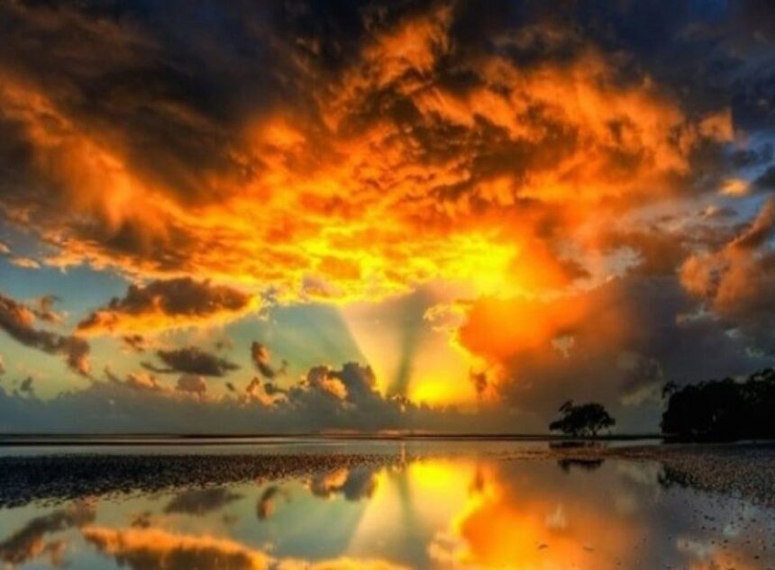 Sanskrit-–-A-Language-of-Integral-Perfection Sanskrit – A Language of Integral Perfection