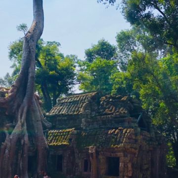The Golden Era of Indic Civilisation – Angkor (Part 4)