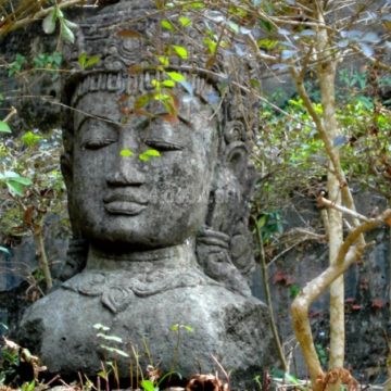 Buddha, Caste and Environment