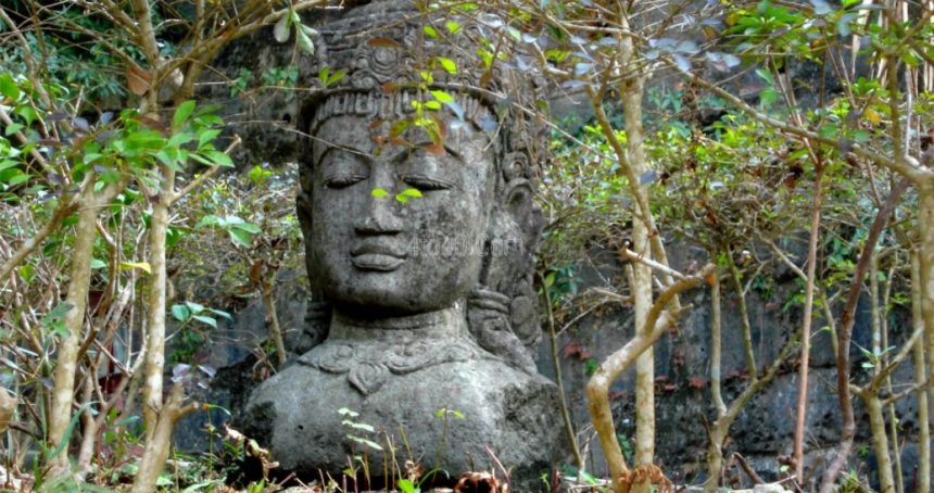 Buddha, Caste and Environment