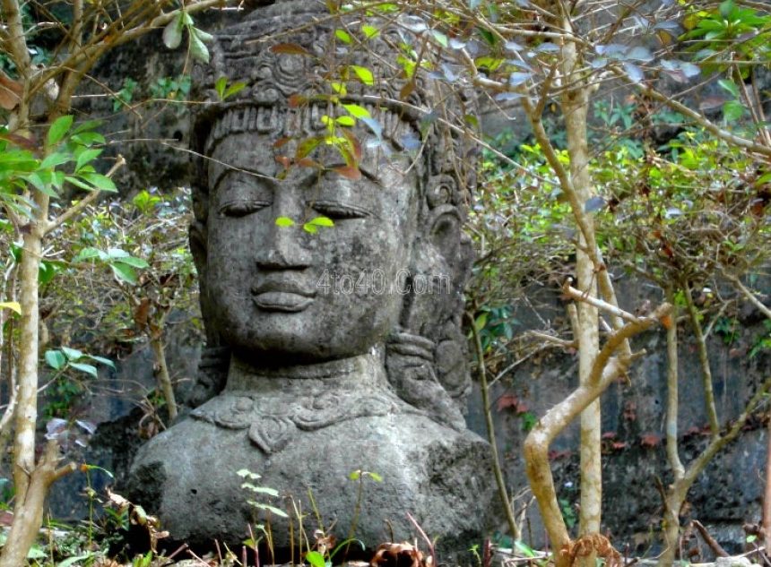 Buddha, Caste and Environment Buddha, Caste and Environment