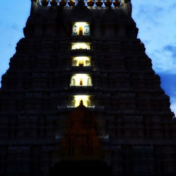 Varadaraja Perumal Temple – Kanchipuram (Part 2)