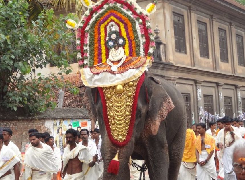 The Eternal Dasas of Sree Padmanabha Swamy - II (A Glimpse into Ancient Times) The Eternal Dasas of Sree Padmanabha Swamy – II (A Glimpse into Ancient Times)
