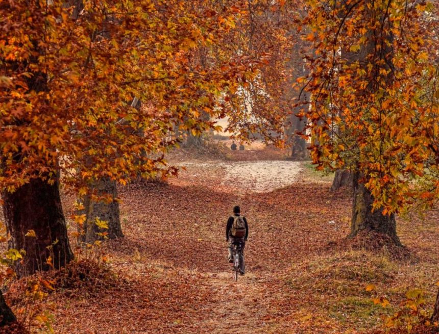 The Autumn Wind