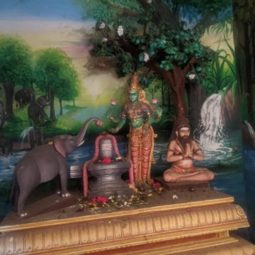 Jambukeswarar Temple- The Humble Abode of Goddess Akilandeswari