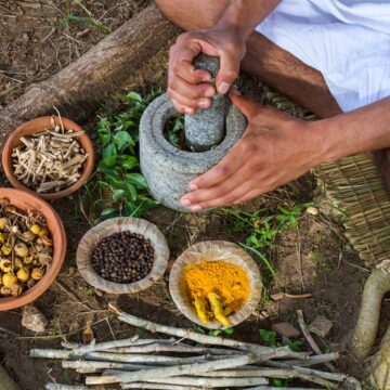 Ayurveda: Tradition, Science, and Recognition in a Globalised World