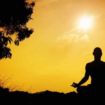 Citta-Vṛtti-Nirodhaḥ: The Discipline of Stillness in Pātañjala Yoga