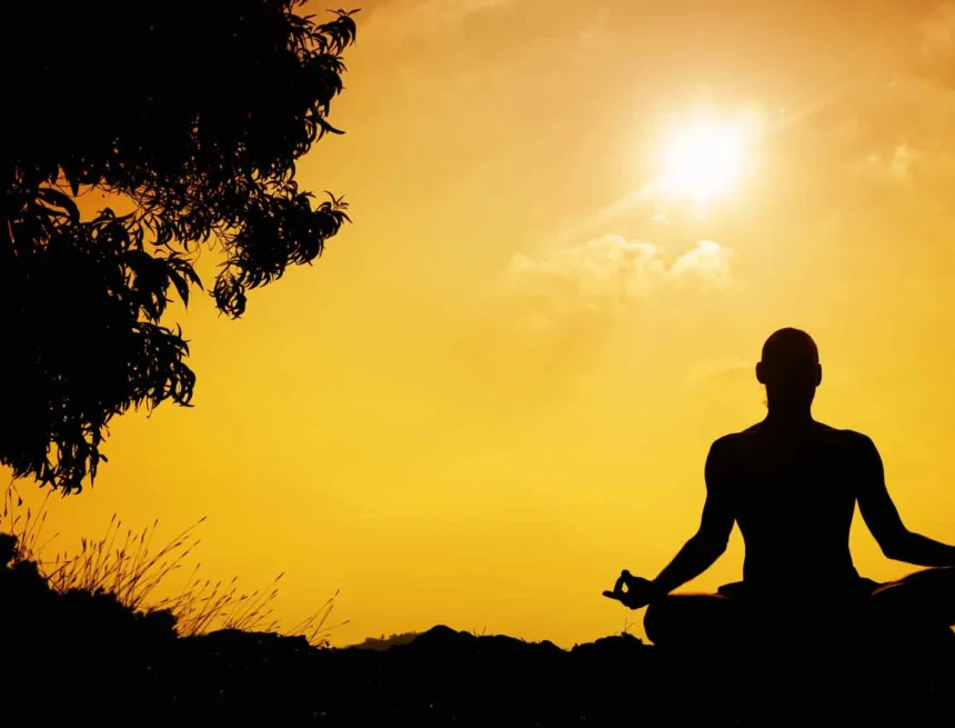 Citta-Vṛtti-Nirodhaḥ: The Discipline of Stillness in Pātañjala Yoga Citta-Vṛtti-Nirodhaḥ: The Discipline of Stillness in Pātañjala Yoga